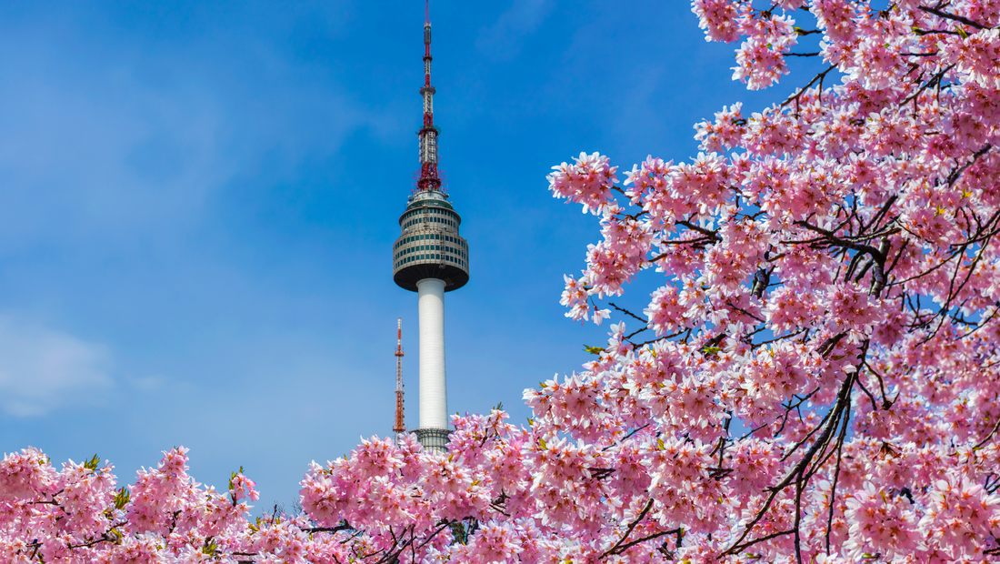 Südkorea: Städte, Kirschblüten & K-Pop